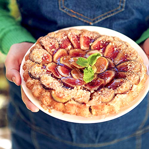 Brown Turkey Fig Tree Live Plant, 3 Gallon R32688