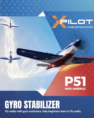 RC Plane 4 Channel Remote Control Fighter Airplane with 6-Axis Gyro, Easy to Fly for Beginners L2816