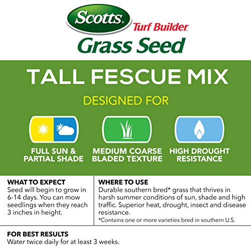 Tall Fescue Grass Seed Mix with Fertilizer and Soil Improver, 5.6 lbs. W545300