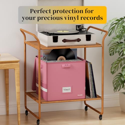 Vinyl Record Storage Box with Lock, Fireproof & Water Resistant, Holds 100+ 12-Inch Records H505
