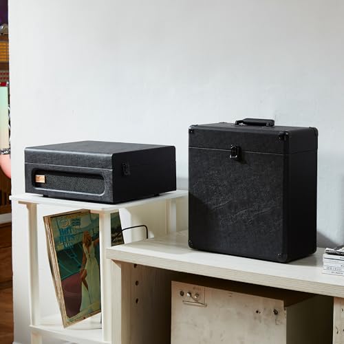Vinyl Record Storage and Carrying Case, Holds 30 Albums H2930