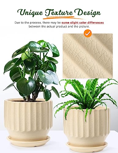 Ceramic Plant Pots 6 inch with Drainage Hole and Saucer, Set of 2, Creamy White K14152