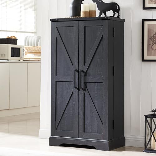 Farmhouse Storage Cabinet with Barn Doors and Adjustable Shelves X3170