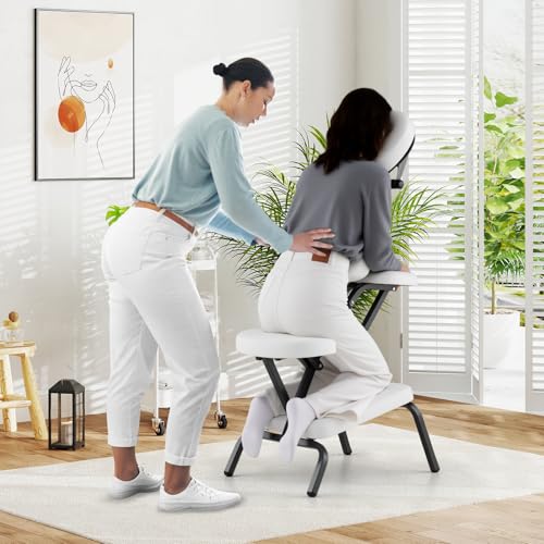 Portable Massage Chair with Carrying Bag X71829