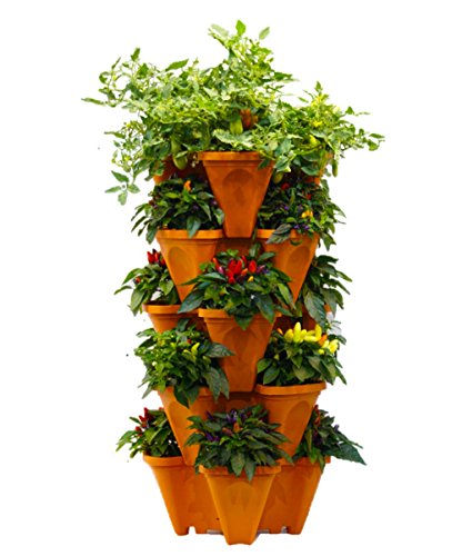 Stackable Vertical Planters for Strawberry, Tomato, Pepper Q22352