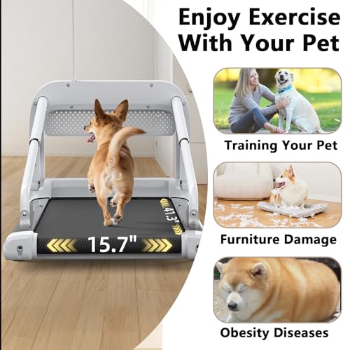 Dog Treadmill for Small and Medium Dogs with Remote Control and LCD Display H10038
