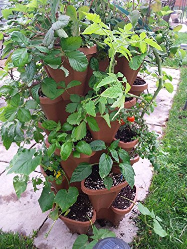 Stackable Vertical Planters for Strawberry, Tomato, Pepper Q22352