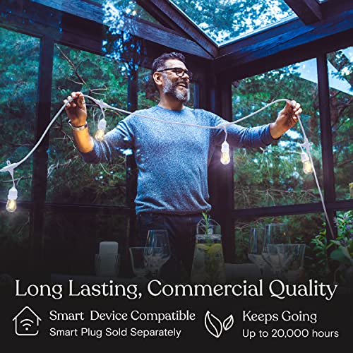 Waterproof LED Outdoor String Lights with Dimmable Vintage Edison Bulbs, 24 Ft Patio Lighting E72809