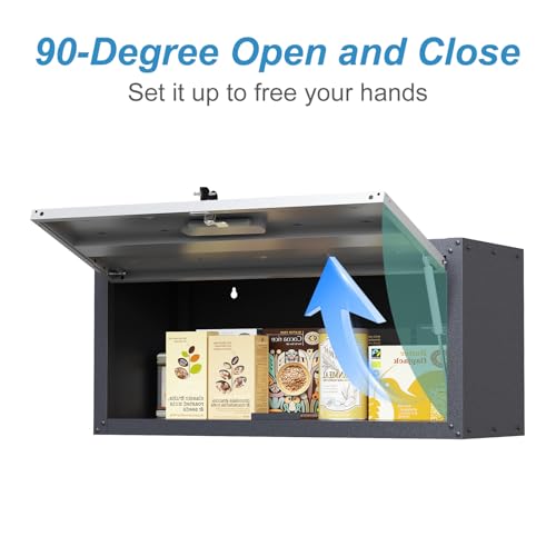 Wall Cabinet with 2 Doors, Lockable, Adjustable Shelves, Heavy Duty Steel J4545