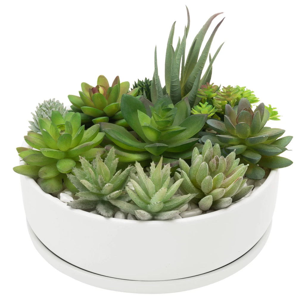 8 inch White Ceramic Round Succulent Planter G755