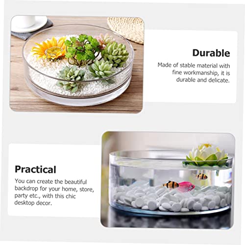 Glass Hydroponic Vase Terrarium Planter for Succulents and Fish Tank I270
