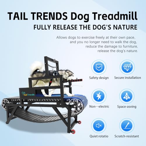 Dog Treadmill with Brake and Resistance Adjustment for Large and Medium Dogs P470
