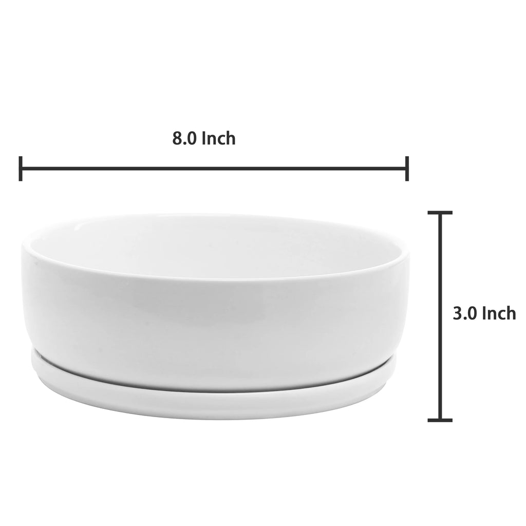 8 inch White Ceramic Round Succulent Planter G755