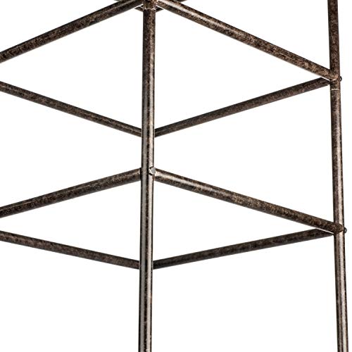 Trellis Obelisk for Climbing Plants, Weather Resistant Iron and Metal E70477