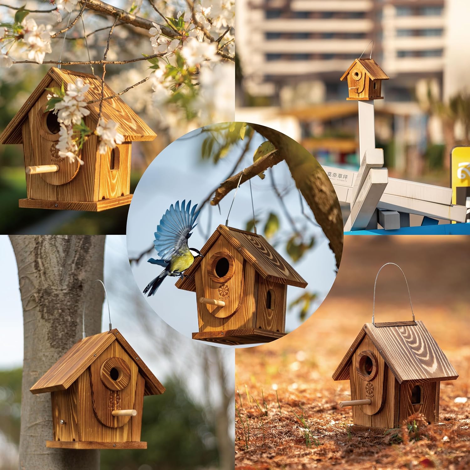 DIY Bird House Kit for Adults and Kids, Carbonized Wood, Paint Included D41526
