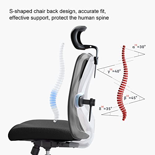 Ergonomic Office Chair for Big and Tall People with Adjustable Headrest and Lumbar Support R965182