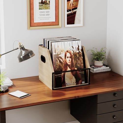 Vinyl Record Storage Box, Holds up to 60 Records V34365