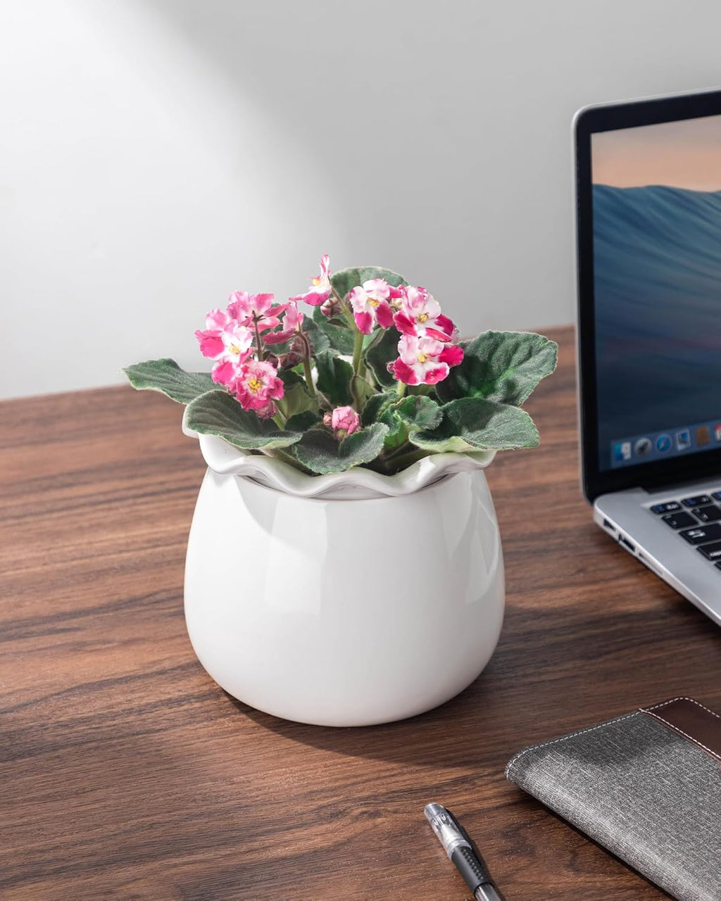 Self-Watering Ceramic Plant Pot for Indoor Plants B167
