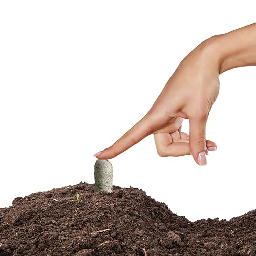 Fertilizer Spikes for Fruit and Citrus Plants and Trees, 6 Count M382