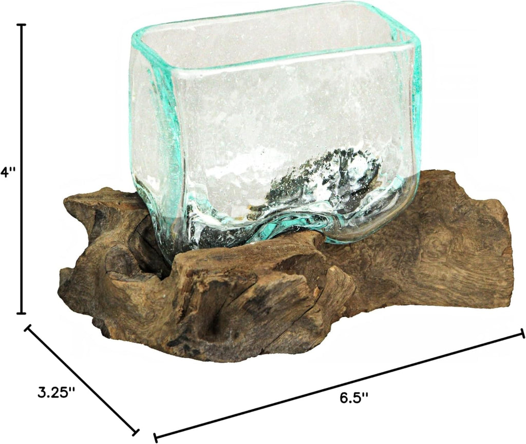 Glass Driftwood Decorative Bowl Vase Terrarium Planter Y130