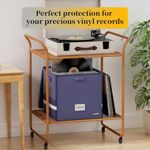 Vinyl Record Storage Box with Lock, Fireproof & Water Resistant, Holds 100+ 12-Inch Records H505