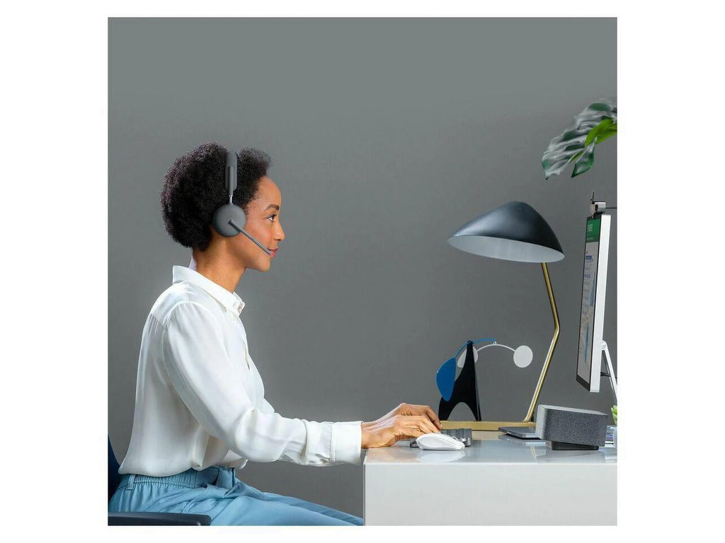 Wireless Bluetooth Headset with Noise-Cancelling Microphone H903