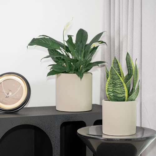 5 Inch Cement Planters for Indoor Plants with Drainage Hole, Gray P73637