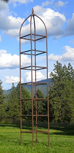 Trellis Obelisk for Climbing Plants, Weather Resistant Iron and Metal E70477