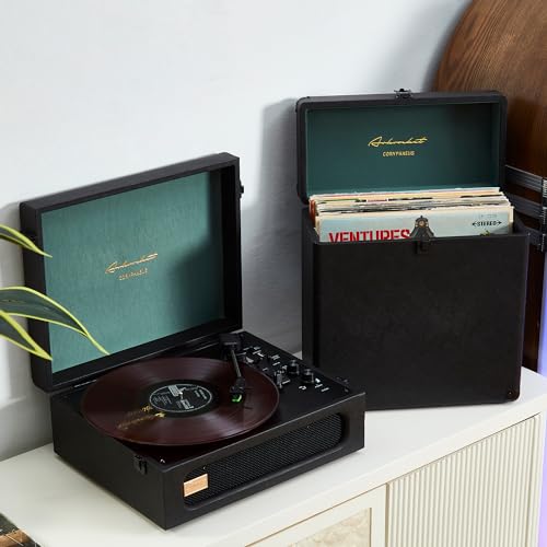Vinyl Record Storage and Carrying Case, Holds 30 Albums H2930