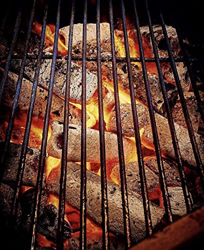 10LB Natural Grilling Charcoal Logs for BBQ and Smoker V557