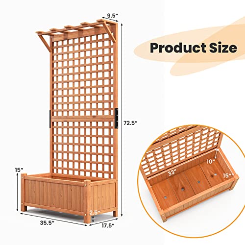 Raised Garden Bed with Trellis & Roof, Wooden Planter Box for Outdoor C209623
