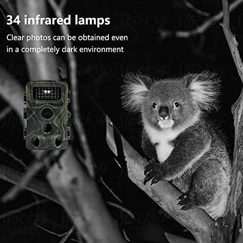 Mini Trail Camera 2-Pack, 36MP 1080P, Night Vision, Motion Activated C6718