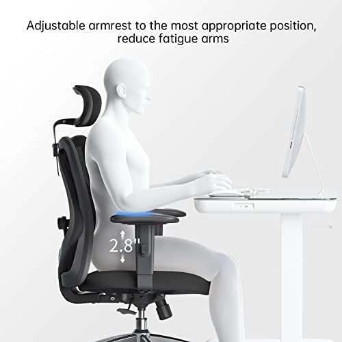 Ergonomic Office Chair for Big and Tall People with Adjustable Headrest and Lumbar Support R965182