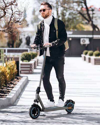 Electric Scooter for Adults, 500W Motor, Folding with Dual Suspension D383
