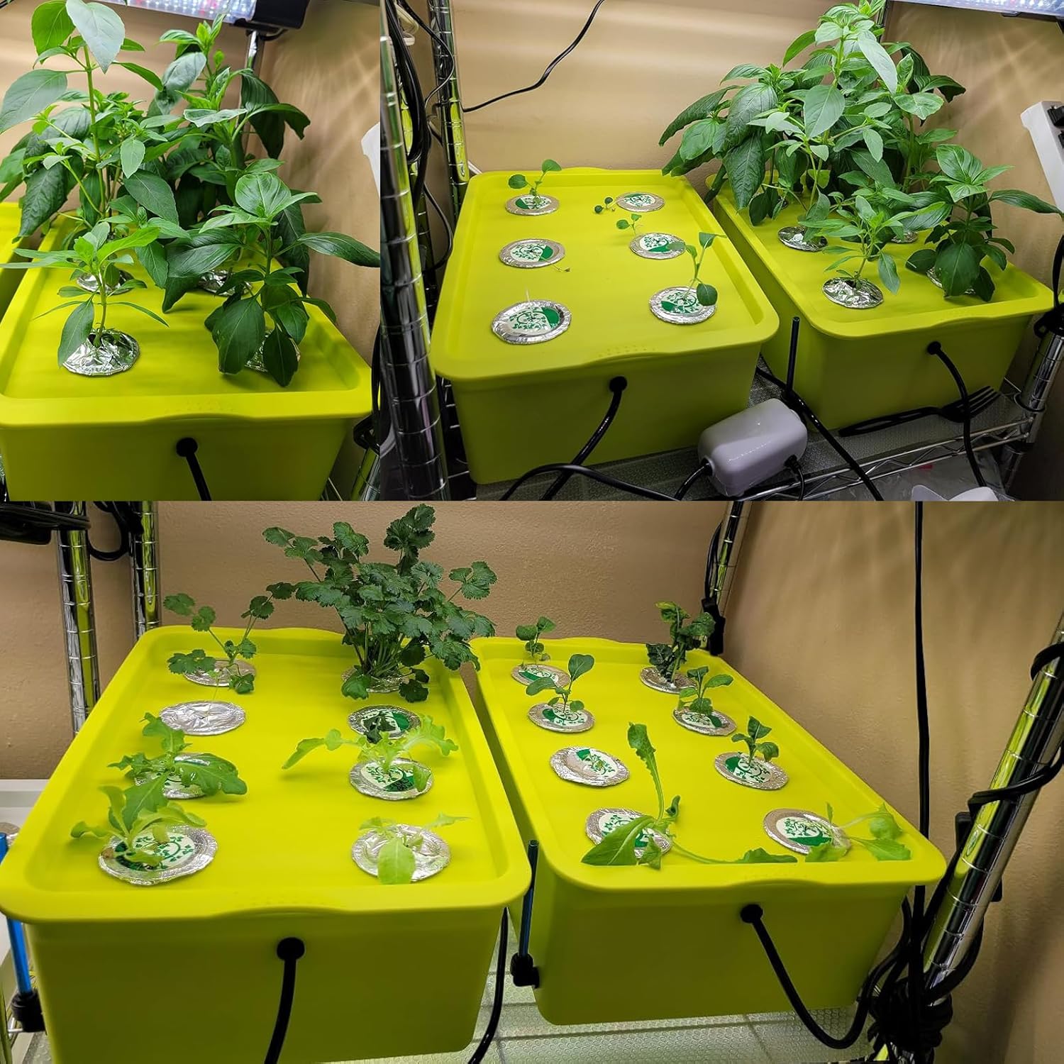 Hydroponic Growing Kit with Air Pump, 6 Plant Sites P558801