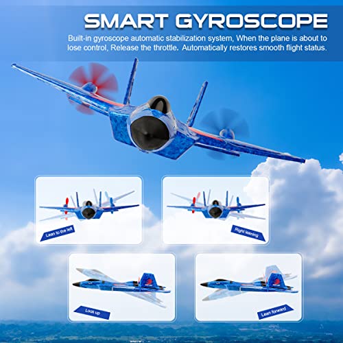 F22 RC Airplane Fighter, 2.4Ghz 2 Channel Remote Control Plane for Kids Beginners Y282