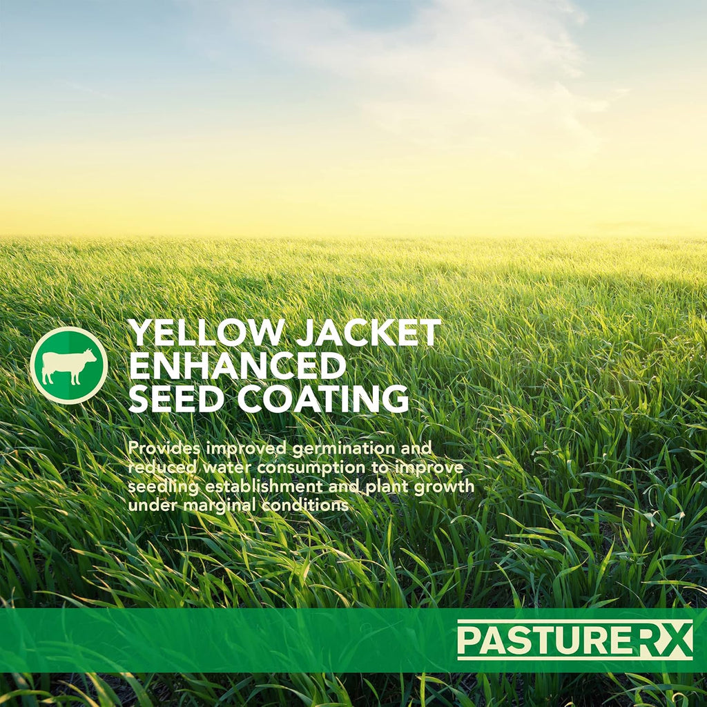 Pasture Grass and Forage Seed Mix, 23 lbs. I33857