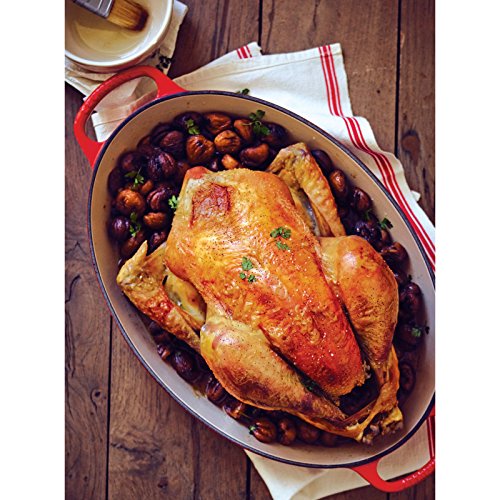 Enameled Cast Iron Oval Dutch Oven, 5 qt. H5540