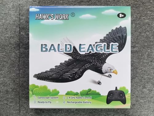RC Eagle 2CH Remote Control Airplane for Kids & Beginners D1811