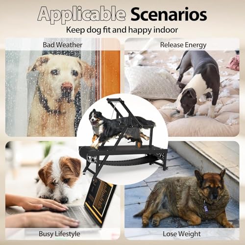 Dog Treadmill for Medium Dogs with Brake and Plastic Track F80860