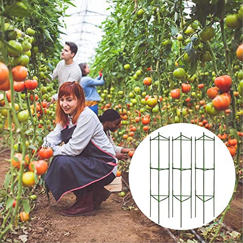 Tomato Cages for Garden, Deformable Plant Stakes up to 48 Inch N148