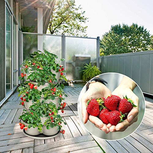 Stackable Planter, Terracotta 5-Tier Vertical Garden E454