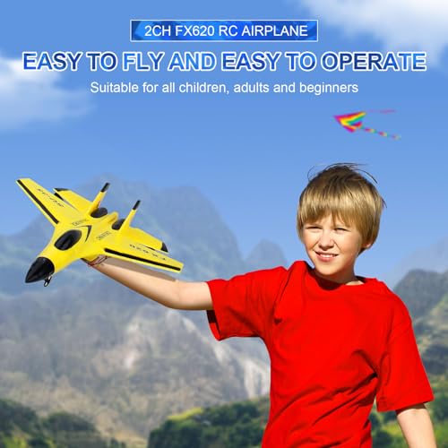 RC Airplane 2.4GHz Ready to Fly with Night Lights USB Charging R21201