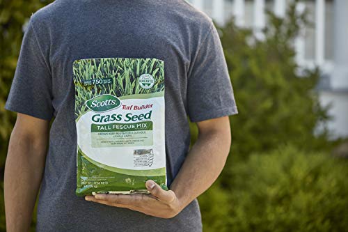 Tall Fescue Grass Seed Mix with Fertilizer and Soil Improver, 5.6 lbs. W545300
