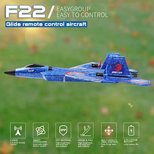 F22 RC Airplane Fighter, 2.4Ghz 2 Channel Remote Control Plane for Kids Beginners Y282