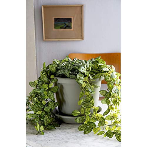 24 Inch Round Plastic Planter for Indoor Outdoor Plants A877