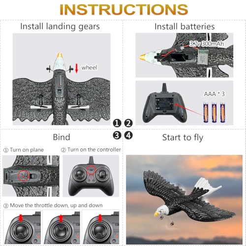 RC Eagle 2CH Remote Control Airplane for Kids & Beginners D1811