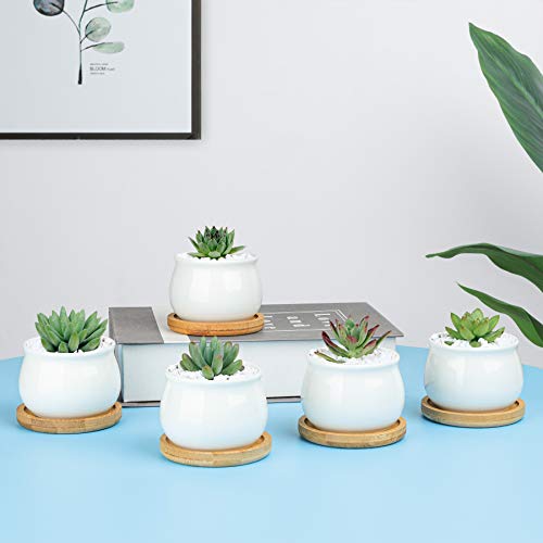 Mini Succulent Pots White with Bamboo Trays, Ceramic Planter Set of 6 W2815