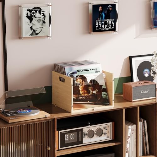 Bamboo & Acrylic Vinyl Record Storage Crate with Handle G916