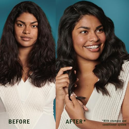 Argan Oil Repair Shampoo & Conditioner Set, Paraben-Free, Citrus Scent, 20.2 Fl Oz, 2-Pack X627